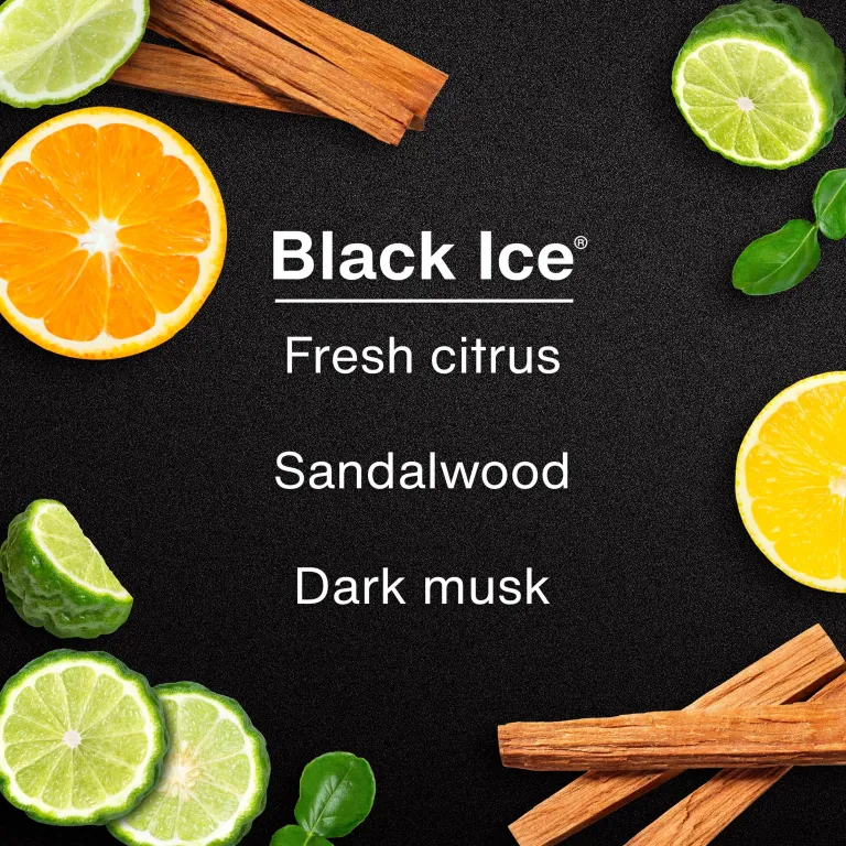 Jaecoo Little Trees Black Ice Air Fresheners – Pack of 5