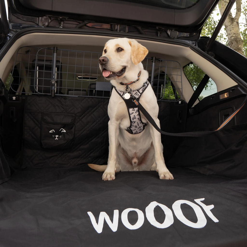 Jaecoo Dog Boot Liner – Battersea Pet Boot Protector for J5, J7 & J8