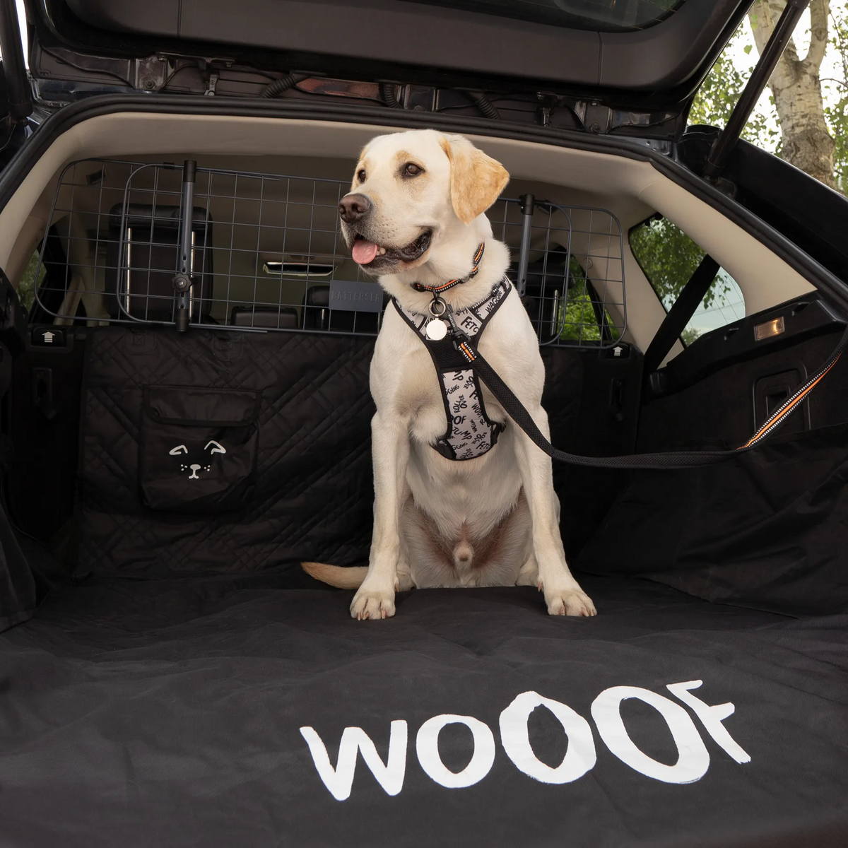 Jaecoo Dog Boot Liner – Battersea Pet Boot Protector for J5, J7 & J8