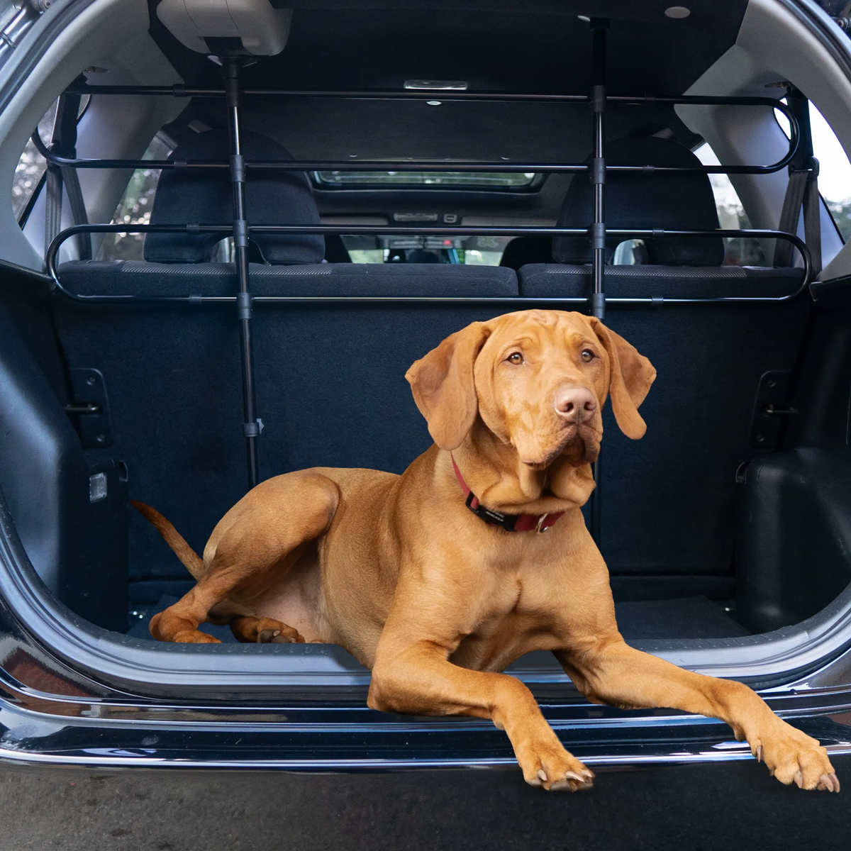 Jaecoo Dog Guard – Adjustable Pet Barrier for J5, J7 & J8